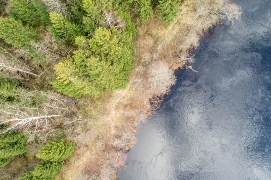 Widok z lotu ptaka na las i wodę 